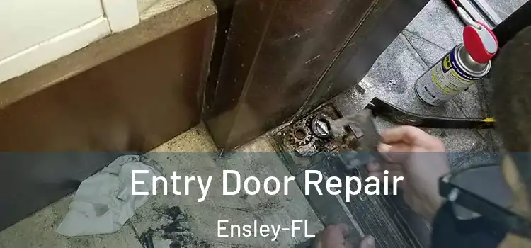  Entry Door Repair Ensley-FL