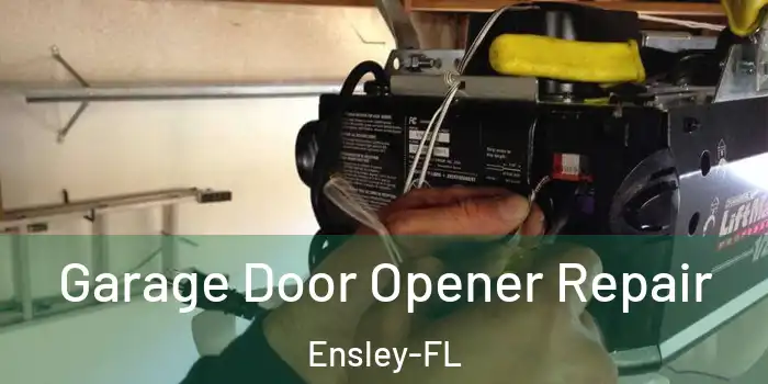  Garage Door Opener Repair Ensley-FL