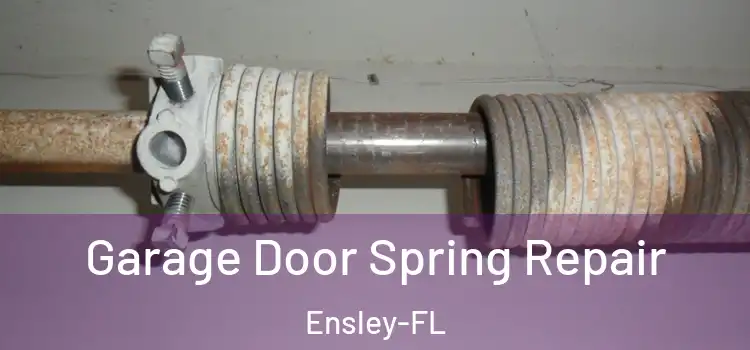  Garage Door Spring Repair Ensley-FL