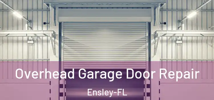  Overhead Garage Door Repair Ensley-FL