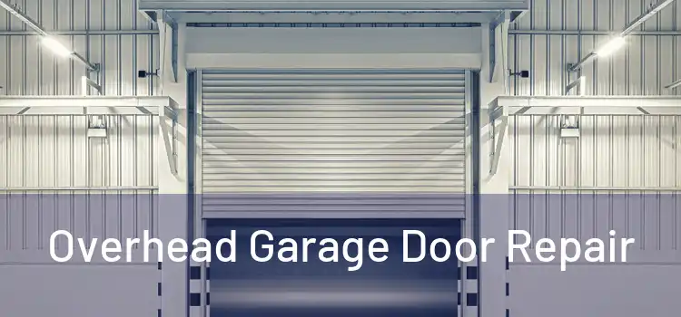 Overhead Garage Door Repair 