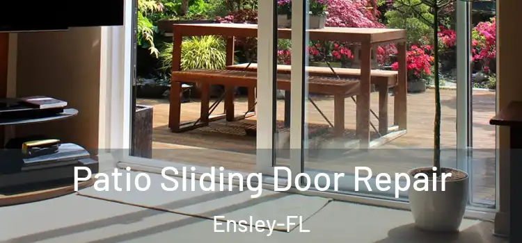  Patio Sliding Door Repair Ensley-FL