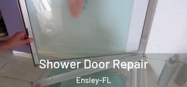  Shower Door Repair Ensley-FL